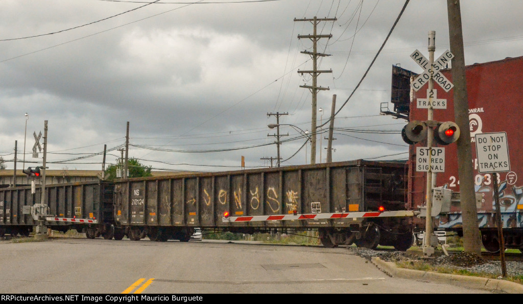 NS Gondola